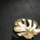 Cosmato mit Monstera
