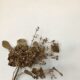 Goldene Blumen