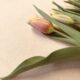 blumen
