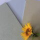 Letzte Sonnenstrahlen