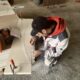 worker